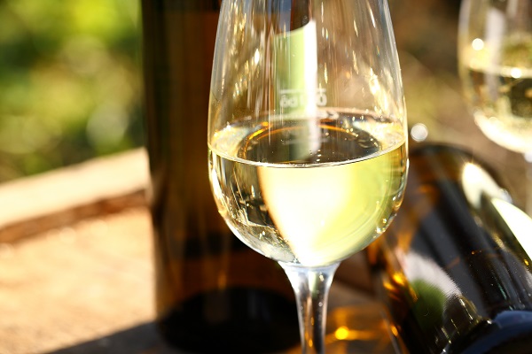 Weinglas-022021 muscaJo Cuvée trocken Biowein
